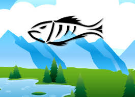 Ifish Bc The App For Fishing In British Columbia