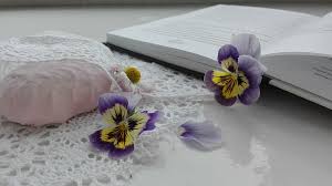 Maybe you would like to learn more about one of these? Zephyr Kelembutan Bunga Tanaman Berbunga Tanaman Keindahan Di Alam Kesegaran Ungu Daun Bunga Perbungaan Pxfuel