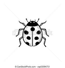 Black And White Ladybug Clipart Ladybug Hand Drawn Sketch Icon Vector Hand Drawn Ladybug Clipart Sketch Icon How To Draw Hands Interesting Drawings