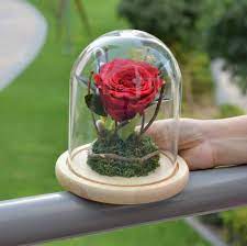 Top selection of 2020 forever glass, home & garden, cellphones & telecommunications, jewelry & accessories, watches and more for 2020! Forever Red Rose In A Glass Dome Infinite Rose Dubai Flower Station Dubai