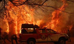 Últimas noticias de incendio en córdoba: Incendios En Cordoba La Situacion Es Desesperante Y Hay Grandes Perdidas De Animales Agrofy News