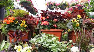 O tooles garden center littleton. Plants O Toole S Garden Centers