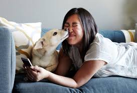Why Companies Are Offering Furternity Leave To New Pet Owners
