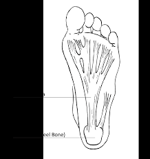 Plantar Fasciitis Faq S