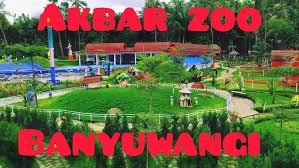 Maybe you would like to learn more about one of these? Akbar Zoo Pembangunan Kebun Binatang Dan Kolam Renang Motovlog Banyuwangi Youtube