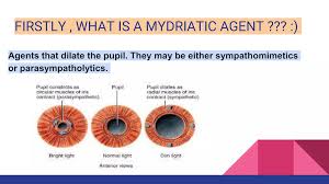 Image result for Mydriatic