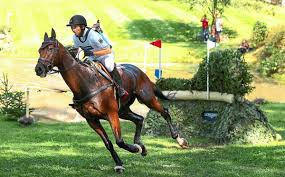Dosb nominiert weitere 169 athleten für tokio. Olympia Ruckt Naher Michael Jung Hoffnung Auf Zwei Grossereignisse Sport Schwarzwalder Bote