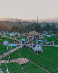 Bahkan mereka juga sering menjadikan taman bunga sebagai backround terindah berselfie. Pemandangan Kampung Yang Indah