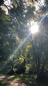  Fall Foliage Aesthetic Video Manzara Fotografciligi Gunbatimlari Manzara