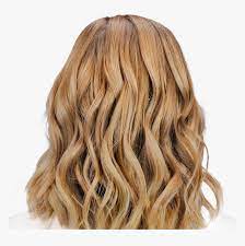 Dying blonde hair brunette is more complicated than it may seem. Natural Blonde Hair Png Download Blonde Hair From The Back Transparent Png Kindpng