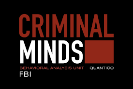 Criminal Minds' A.J. Cook: It Makes Sense For Jj To Become A Profiler - Tv  Guide