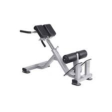 Check spelling or type a new query. 45 Degree Hyperextension Bench For Gym Macho Fitness Equipments Id 19919526933