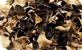 We did not find results for: 18 Manfaat Dan Khasiat Jamur Kuping Hitam Putih Untuk Kesehatan Khasiat