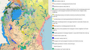 Image result for Balthasaria schliebenii
