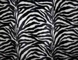 Keeping all printers at one place. 30 Zebra Print Texture For Free Download Tripwire Magazine