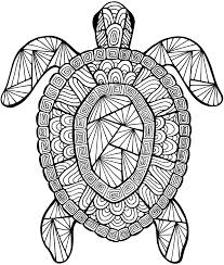 Detailed Sea Turtle Advanced Coloring Page Turtle Coloring Pages Summer Coloring Pages Mandala Coloring Pages