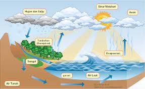 Susunan dari kimia air (h2o) dengan cara alami di atmosfer yang terbagi menjadi 3 tingkatan yaitu terdapat dua contoh dari evaporasi yang sering dikenal adalah berkeringat dan juga siklus hujan. Apa Itu Siklus Air