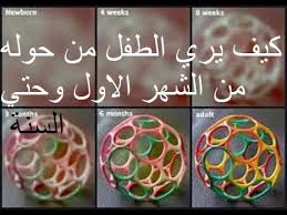 تشكل الأمراض الوراثية والتشوهات الخلقية نسبة عالية من المواليد الجدد في جميع أنحاء العالم؛ أي أنَّ 1 من كل 50 مولودا يُعاني من مرض وراثي، و1 من كل 100 مولود مصاب أو حامل لمرض وراثي. Ø§Ù„ÙØ±ÙŠØ²Ø± Ø³ÙŠØ§Ø³ÙŠØ© Ø³Ù„Ù… ÙƒÙ‡Ø±Ø¨Ø§Ø¦Ù‰ Ù…ØªÙ‰ ÙŠØ±Ù‰ Ø§Ù„Ø·ÙÙ„ Ø­Ø¯ÙŠØ« Ø§Ù„ÙˆÙ„Ø§Ø¯Ø© Edisonbudapest Com