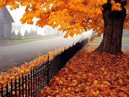 We did not find results for: Desktop Wallpapers Hd 3d Full Screen Nature Desktop Desktop 4k 1504x846 Wallpaper Teahub Io