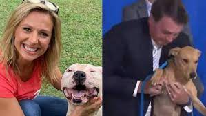 Confira as datas das próximas feiras de adoção de cães e gatos do instituto luisa mell. Luisa Mell Agradece Bolsonaro Por Nova Lei Contra Maus Tratos Aos Animais Obrigada Istoe Independente