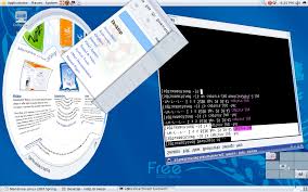 Image result for metisse mandriva