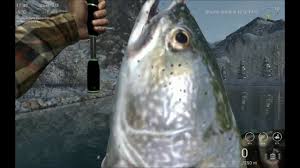Palia jeziorowa występuje w chłodnych jeziorach kanady i nowej anglii. Fishing Planet Unikatowa Palia Jeziorowa J Alberta Youtube