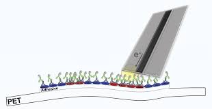 In comparison to myths and legends, the time and place of occurrence good and evil in fairy tales is usually clearly separated, often in the form of good and evil characters. Adhesive Tape Based Method Could Help Screen Skin Cells For Melanoma