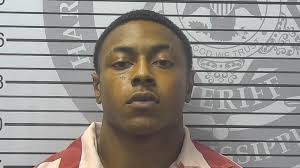 WATCH: Officer wrangles alligator from family neighborhood