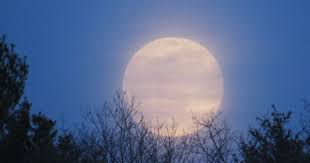 The moon follows an elliptic orbit around earth. Supermoon Edinburgh When And How To Spot Rare Site In The Skies Edinburgh Live