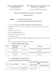 CÔNG TY CỔ PHẦN TẬP ĐOÀN AN PHÁT HOLDINGS ...