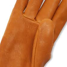 Image result for Doeskin 1983 Roper