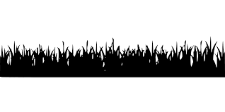 Download Svg Meadow Agriculture Grass Free Svg Image Icon Svg Silh