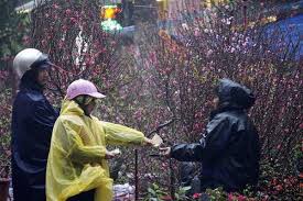 Trợ lý ảo ai báo thanh niên. P0brhkjrnerq2m