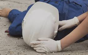 images?q=tbn:ANd9GcRBoQbZnYLH8jlKeyh9IEVnTxcZCm8QD6qZvA&s