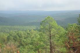Check spelling or type a new query. Broken Bow Cabins Hochatown Ok Pine Knot