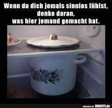 Wenn Du Dich Jemals Sinnlos Fuhlst Lustige Bilder Spruche Witze Echt Lustig Lustige Spruche Bilder Witzige Bilder Witze Lustig