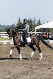 This is dressage training with carl hester and charlotte dujardin by josie le grice on vimeo, the home for high quality videos and the people who love them. Charlotte Dujardin S Playful Process Part Ii Upper Level Horses Charlotte Dujardin Dressage Dressage Training
