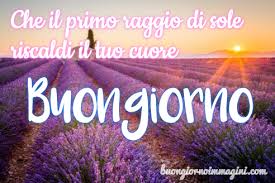 Puoi anche rivolgerti a un fiorista e far recapitare un bouquet. Buon Compleanno Immagini Fiori Di Campo Buono Compelanno Collection Immagini