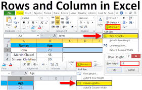 Rows And Column In Excel How To Select Rows And Column In