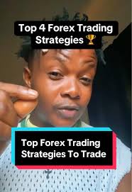 Steve Mauro Strategy