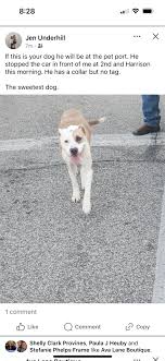 Knox County Indiana Lost and Found Pets