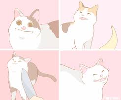 Alyssa On Twitter In 2020 Cat Face Drawing Cat Sketch Cat Aesthetic