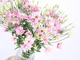 Image result for eustoma lisianthus in vase