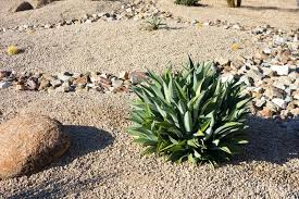 Spread rock salt on a rock path or driveway. 216 Xeriscaping Photos Free Royalty Free Stock Photos From Dreamstime