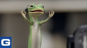 She is so adorable *gasp* comment below if you have a pet! Geico Car Insurance Review Rates Coverage More