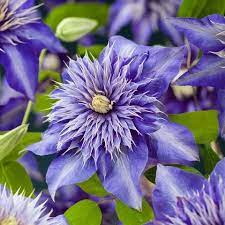 Pin Su Nieuwe Tuin
