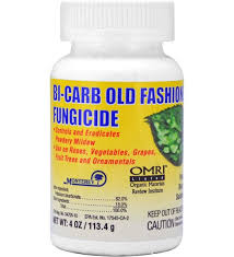 Research has shown it's effective against some kinds of black spot and powdery mildew.﻿﻿ Bi Carb Old Fashioned Fungicide 4oz Planet Natural