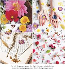 We did not find results for: Tutorials On How To Dry Press Flowers To Embed Into Resin Nunn Design