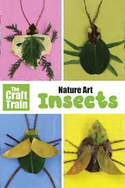 Nature Bugs Nature Kids Nature Crafts Nature Art