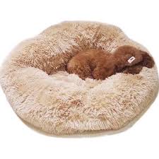I wanted him to feel loved and comfortable. Best Deal 50 Off Dog Cat Calming Bed Abbyspace Dog Pet Beds Dog Mat Pet Bed